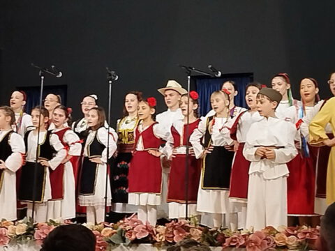1707156562385_resize