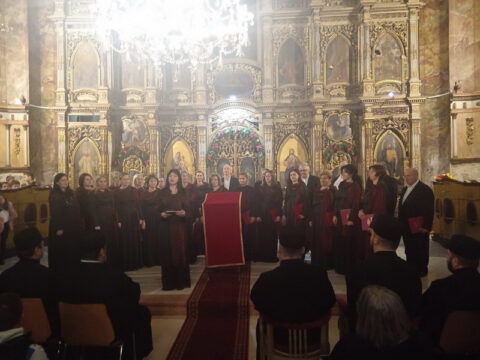 1707746795335_resize