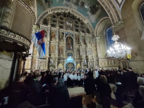 1707746795418_resize