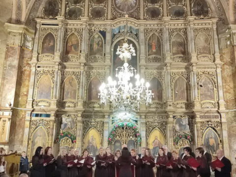 1707746795538_resize