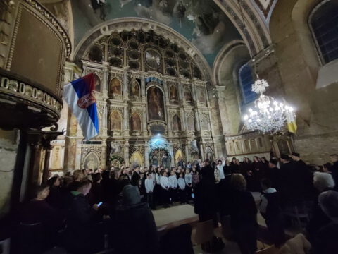 1707746795555_resize