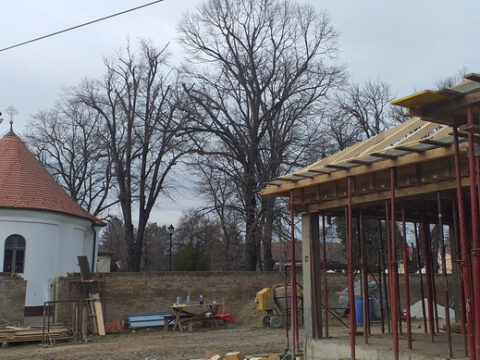 20240222_142057_resize