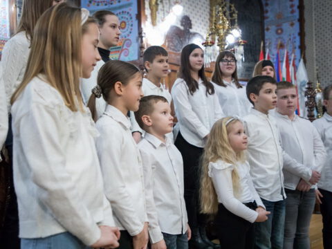 53681_resize_resize