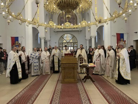 IMG-5c322e9662b45a5d2532840a088fbfbd-V_resize