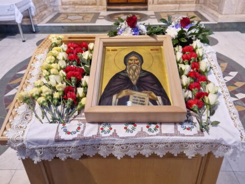 IMG-736237d4e3d8427e25a6cc9c06f252c3-V_resize