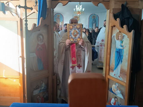 IMG-7842709620a5cbf2d62c9a81e35322c0-V_resize