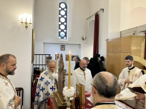 IMG-e8b7382180fada12ba1794c5188c4798-V_resize