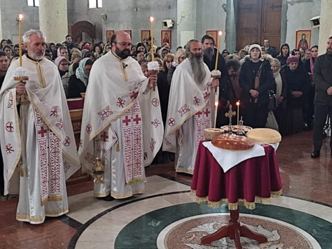 IMG-c8b289b58b7add71a60702682071bd61-V_resize