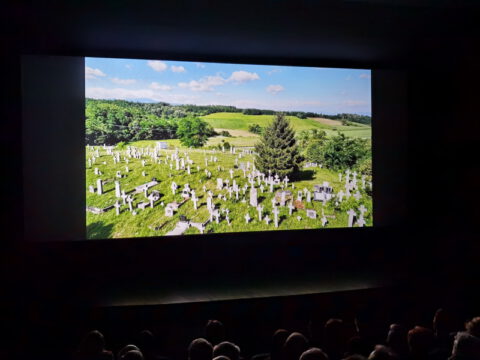 IMG_20240315_182256_resize