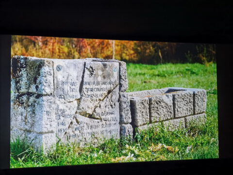 IMG_20240315_182332_resize