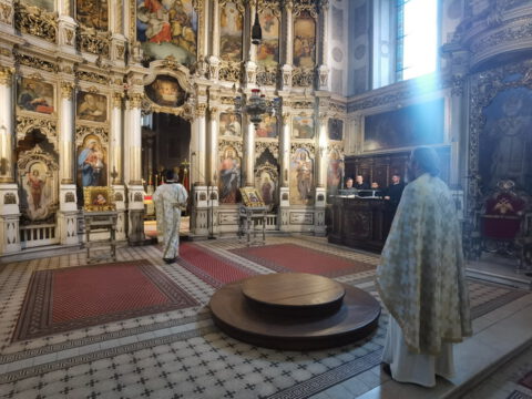 IMG_20240316_081652_resize