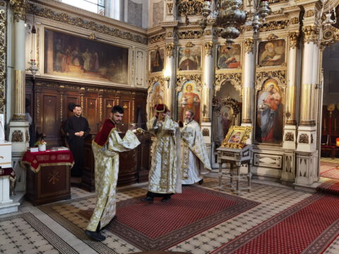 IMG_20240316_083913_resize