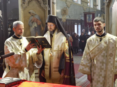 IMG_20240316_093423_resize