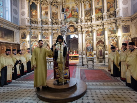 IMG_20240316_094040_resize