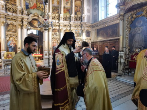 IMG_20240316_094153_resize