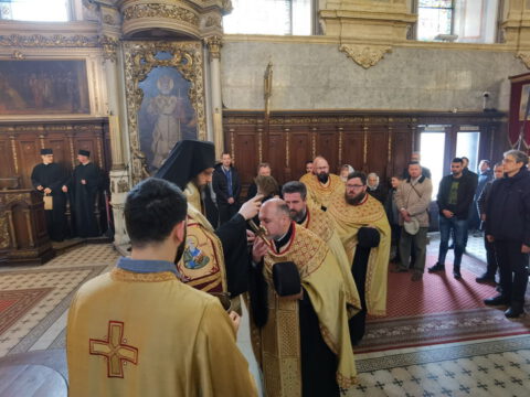 IMG_20240316_094203_resize