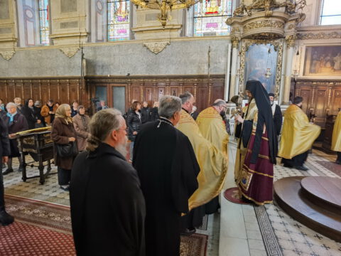 IMG_20240316_094215_resize