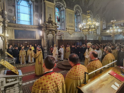 IMG_20240324_090407_resize