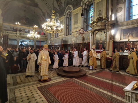 IMG_20240324_091504_resize