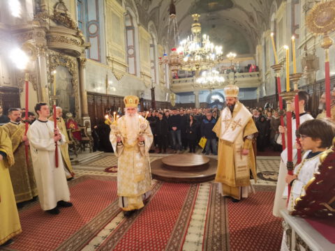 IMG_20240324_091713_1_resize