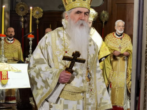 IMG_20240324_092352_resize