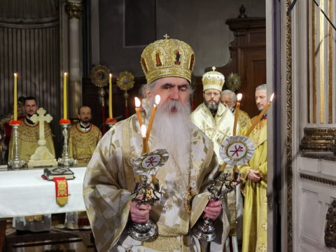 IMG_20240324_093124_resize