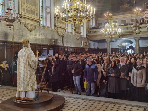 IMG_20240324_094413_resize