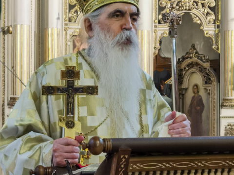 IMG_20240324_094434_resize