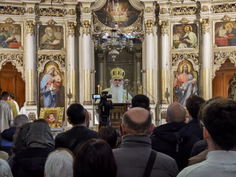 IMG_20240324_094558_resize