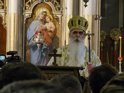 IMG_20240324_094641_resize