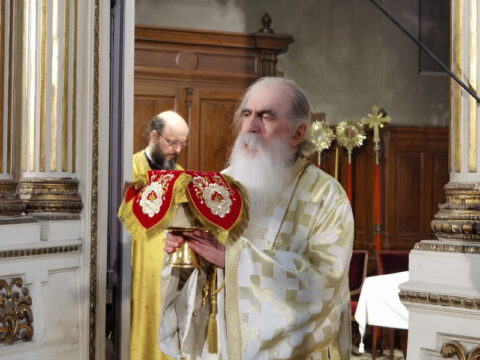 IMG_20240324_102040_resize