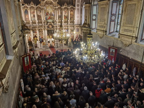 IMG_20240324_103222_resize