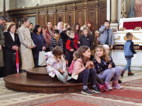 IMG_20240324_111914_resize