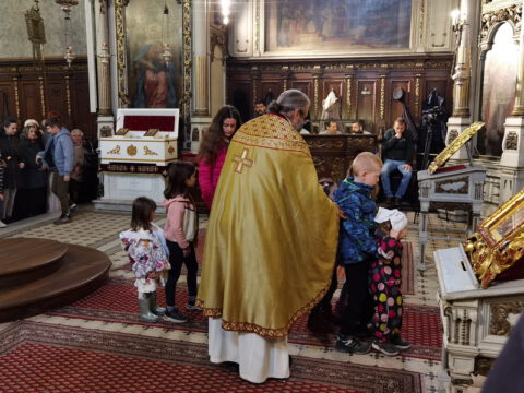 IMG_20240324_111954_resize