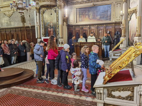 IMG_20240324_112018_resize