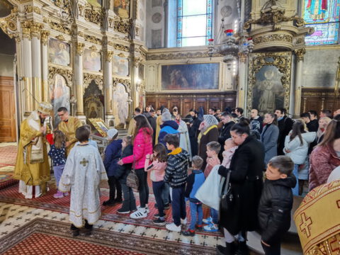 IMG_20240324_112125_resize