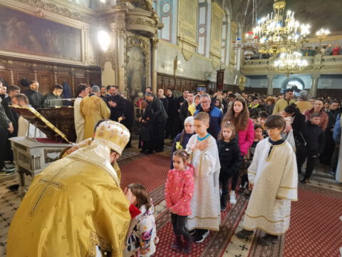 IMG_20240324_112133_resize