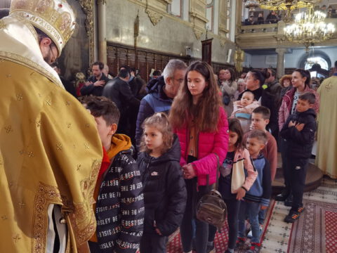 IMG_20240324_112210_resize