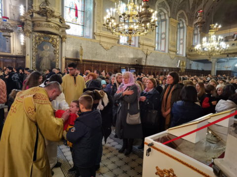 IMG_20240324_112235_resize