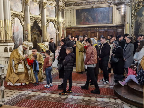 IMG_20240324_112250_resize