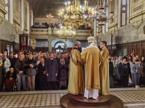 IMG_20240324_114318_resize