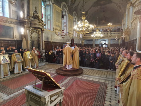 IMG_20240324_114406_resize