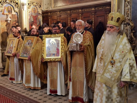 IMG_20240324_114634_resize