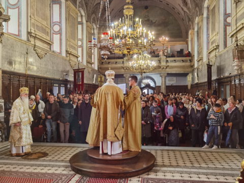 IMG_20240324_114726_resize