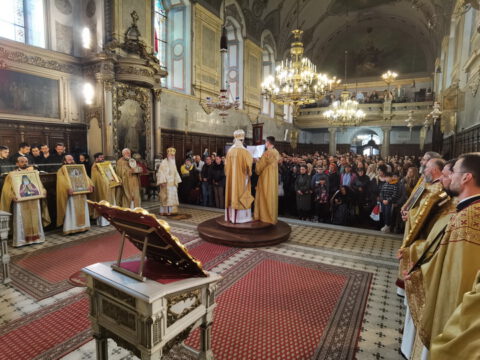 IMG_20240324_114804_resize