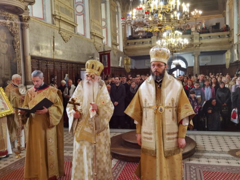 IMG_20240324_115246_resize