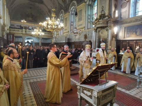 IMG_20240324_115439_resize