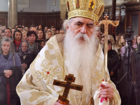 IMG_20240324_115449_resize