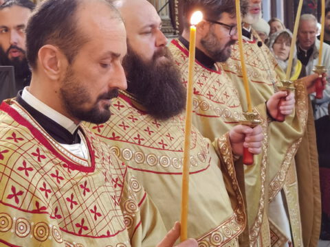 IMG_20240324_115621_resize