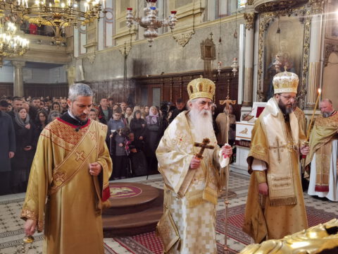 IMG_20240324_115636_resize